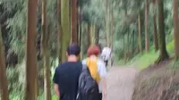 成都青城山后山旅行日记爬行路线：泰安古镇---五龙桥---龙隐栈道---又一村---熊耳亭(5.12地震后该路已不通)---白云寺---白云古寨---翠映湖