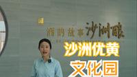 国家工业旅游示范基地：沙洲优黄文化园