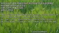 腾冲 | 高黎贡手工造纸博物馆 | 劳动人民最美
