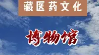青海省藏医药文化博物馆