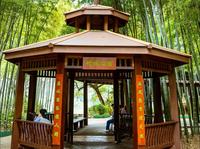 长沙旅行之湖南省植物园一游