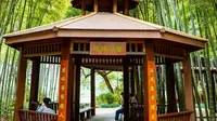 长沙旅行之湖南省植物园一游