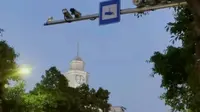 泉州钟楼晚上六点报时