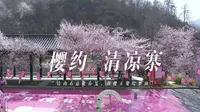 樱约&清凉寨