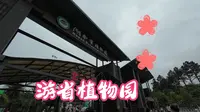6月游湖南省植物园