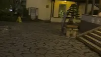 夜游瞻园
