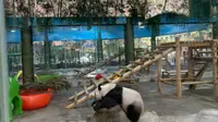 周末自驾游～栾川竹海野生动物园～9月14日