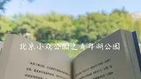北京小众公园之青年湖公园