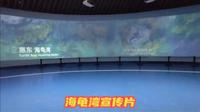 广东惠东海龟国家级自然保护区海龟湾宣传片