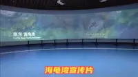 广东惠东海龟国家级自然保护区海龟湾宣传片