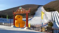 黑龙江宝藏旅行地，绥芬河森林公园滑雪场