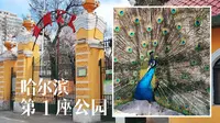 哈尔滨第一座公园兆麟公园