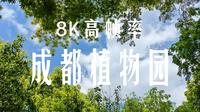[8K120帧]晴天成都植物园来一场春日的花林间漫游