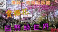 【Miu& Caesar】吃喝玩乐清远篇-佛冈田野绿世界