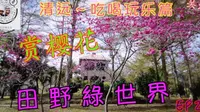 【Miu& Caesar】吃喝玩乐清远篇-佛冈田野绿世界