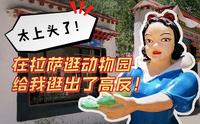 【kido】逛遍全世界动物园系列第1弹—拉萨·罗布林卡动物园