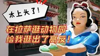 【kido】逛遍全世界动物园系列第1弹—拉萨·罗布林卡动物园