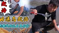 去北港岛抓皮皮虾，没想到都躲在洞里……