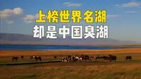 反省一下，你对巴里坤湖的误会有多深