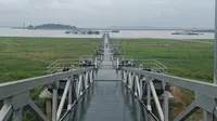 岳阳-飘尾