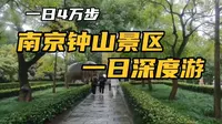 单日步行近4万步，完成南京钟山景区深度游，每一处景点都有故事