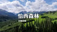 伊犁恰西景区详细游玩攻略，花斑森林地点、打卡机位、恰塔环线，都在视频中