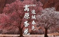 塔县春色｜帕米尔高原上的杏花村