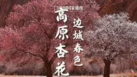 塔县春色｜帕米尔高原上的杏花村