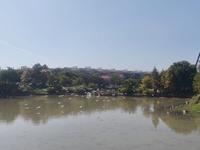 尋找廣州最靚山泉水·廣州逕下鄉村旅遊景區｜黃埔打山泉水｜山泉水檢測｜真我Gt8Pro拍攝