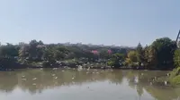 尋找廣州最靚山泉水·廣州逕下鄉村旅遊景區｜黃埔打山泉水｜山泉水檢測｜真我Gt8Pro拍攝