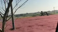 别桥原乡