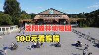 沈阳森林动物园，门票100可看熊猫，值不值？