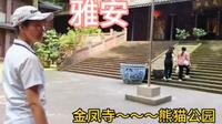 四川雅安，金凤寺=宝藏打卡地