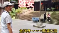 四川雅安，金凤寺=宝藏打卡地