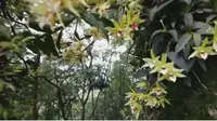三十九，乐清铁定溜溜景区