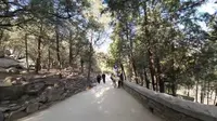 爬泰山全程Part1「红门→中天门」