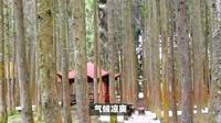 重庆石柱毕兹卡乐园旅游攻略