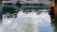 都安地苏镇九灵天窗风景