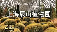 上海辰山植物園散步 Street Walk Shanghai Chenshan Botanical Garden Part 2, 4K