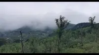 西海岸新区樱皇谷
