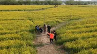 泰安大汶口遗址公园   大疆航拍DJIspark