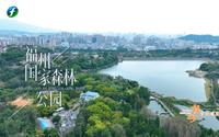 福州音乐地图｜福州国家森林公园《相逢森林公园中》