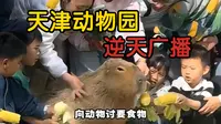 天津动物园: 迟早要禁止游客向动物讨要食物！