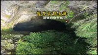 惊险绳降100米闯莲花古洞上游！洞内阴沉木带锯口，明显有人偷偷盗挖转移