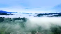 【5A】碧峰峡形象宣传片