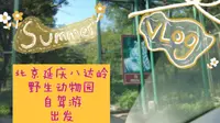 必带小朋友体验的郊区动物园，自驾八达岭野生动物园游览路线