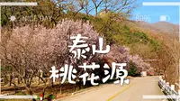 【短片·泰安】泰山桃花源景区/3/风景拍摄/自制vlog/自然风景