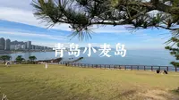 徒步青岛海岸线②之小麦岛（一镜到底 未调色）