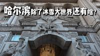 沉浸式云游哈尔滨，看完又赚340.34块！