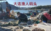 实拍大连的渔人码头，渔民下船就做交易，海鲜都是活的，内陆小伙第一次见